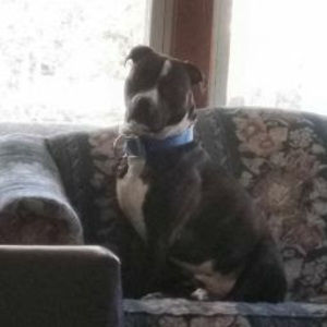 Meet your Posher, Lorena